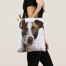 Search for greyhound accessories White