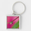 Search for acre key rings Colour