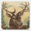 Search for buck deer stickers Rustic