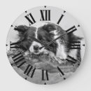 Search for border collie clocks Animals