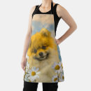 Search for painted daisies aprons Daisy