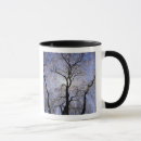 Search for lexington kentucky mugs Adam jones