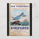 Search for kingfish postcards Travel