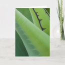 Search for judith cards Green