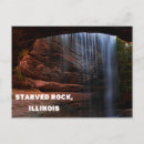 Search for state native postcards Wildlife
