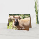 Search for elk birthday cards Nature