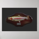 Search for trout posters Sport