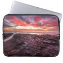 Search for tide pool Sunset