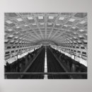 Search for vanisher Black and white