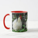 Search for cockerel Farm