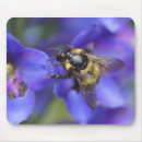 Search for nectar mousepads Honey