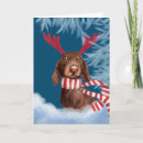Search for funny dachshund christmas cards Dachshund through the snow