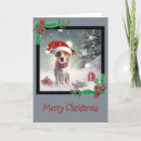 Search for jack russell terrier christmas cards Snow