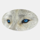 Search for white wolf stickers Dog