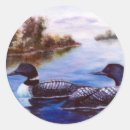 Search for loon stickers Waterfowl