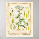 Search for etching posters Vintage