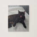 Search for tortoise shell cat Cute