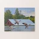 Search for geese puzzles Waterfowl