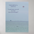 Search for seagulls posters Beaches