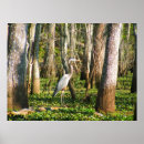 Search for wetland posters Heron