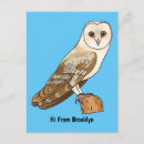 Search for barn owl postcards Bird