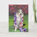 Search for dog memorial cards White