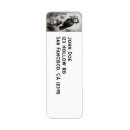 Search for black crows return address labels Spooky