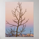 Search for bare trees posters Blue