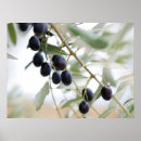 Search for olive posters Nature