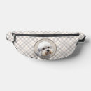 Search for dandy bags Dandie dinmont terrier