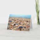 Search for seashell cards Colourful