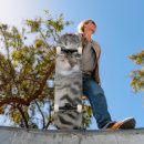 Search for tabbies skateboards Kitten
