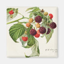 Search for blackberries magnets Citrus