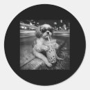 Search for street wear stickers Lifestyle apparel