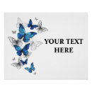 Search for blue morpho butterfly posters Butterflies
