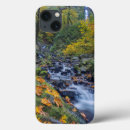 Search for along electronics Fall