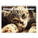 Search for cute kitten calendars 2026