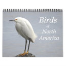 Search for environment office supplies Bird