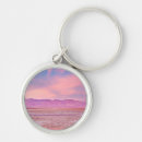 Search for salt key rings Landscape