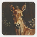 Search for foals stickers Equestrian