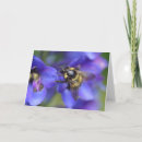 Search for nectar cards Pollen