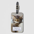 Search for napping travel accessories Pet