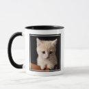 Search for baby kitten mugs Orange cat