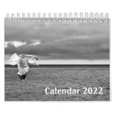 Search for black white animal calendars Photography