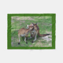 Search for kangaroo blankets Photography