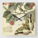 Search for dragonfly clocks Animals