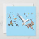 Search for migrater cards Wildlife