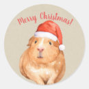 Search for hamsters stickers Kids