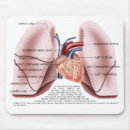Search for lungs mousepads Science