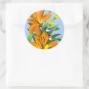 Search for chickadee stickers Botanical